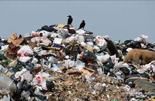 美国垃圾,挑战与应对策略全解析