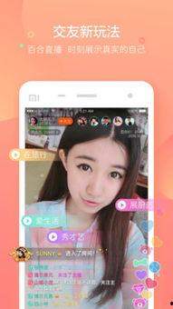 交友网战,揭秘虚拟世界的情感交织