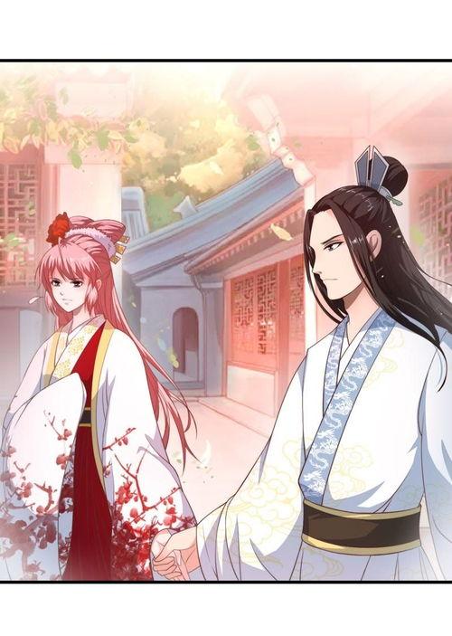 倾世医妃要休夫,一场休夫的华丽逆袭