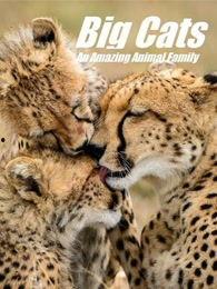 猫科动物：奇妙的动物家族,探索奇妙的动物家族