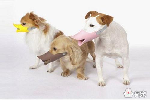 狗人2：垃圾的愤怒,垃圾愤怒的复仇之路